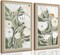 Citrus; 2PCS Boho Wildflower Canvas Wall Art Prints – Sage Green Abstract Floral Botanical Posters, Minimalist Mid Century Flower Artwork for Living Room, Bedroom, Office, Kitchen & Home Decor (Unframed); Category:Wall Decor; Image:2